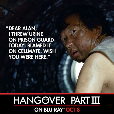 mr chow hangover quotes|100+ Mr. Chow Quotes in The Hangover (2009).